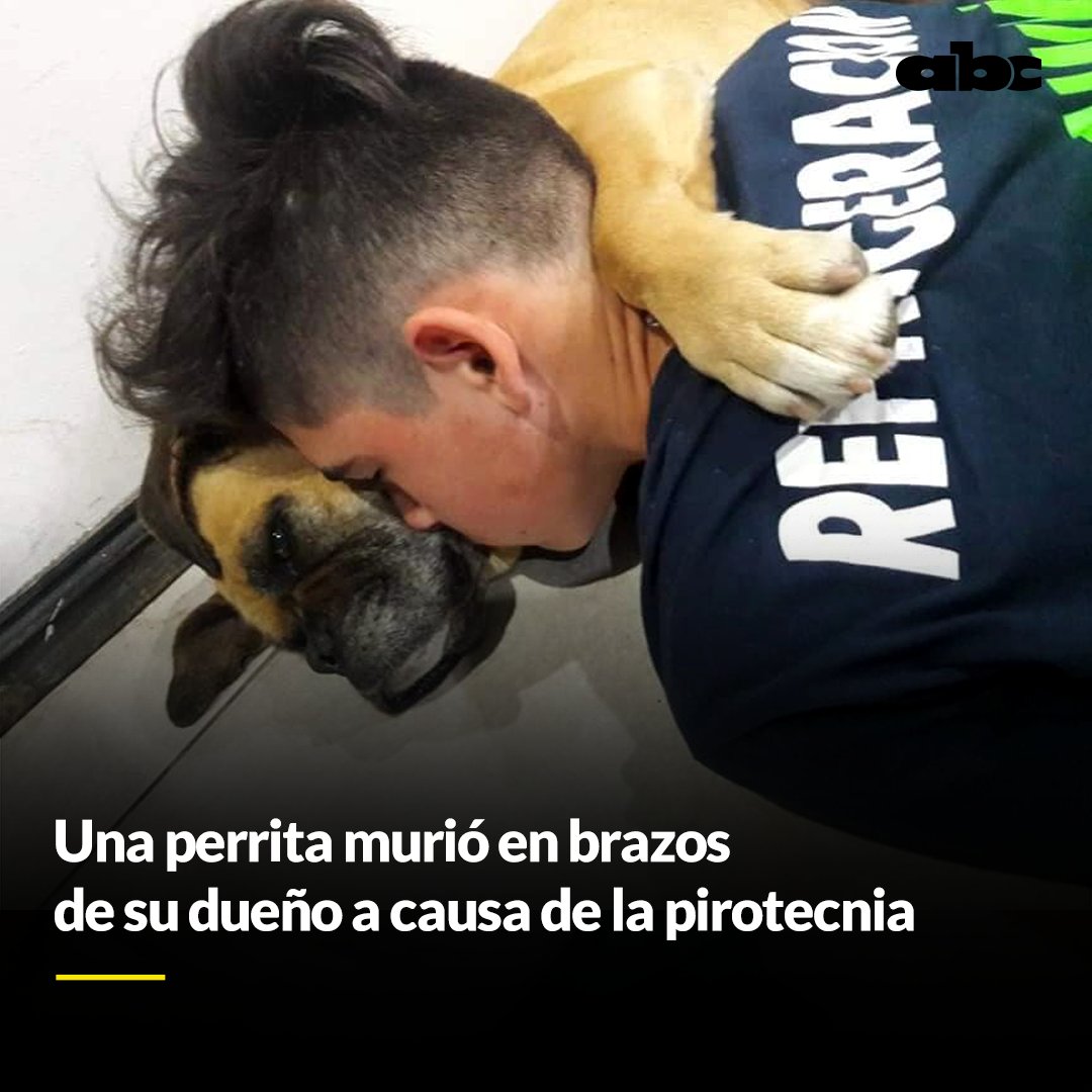 ABCDigital's tweet photo. 💔  Lo más triste de hoy 😭.

🐶🧨🚫 Ella era Magui y murió al no poder soportar el ruido causado por el uso de pirotecnia cerca su vivienda.

📍 Ocurrió en Esquel, Argentina, y la foto de la mascota abrazada a su dueño conmovió la redes sociales.

#SoyUnViral #SoyViral https://t.co/VYmI4DQ0D1