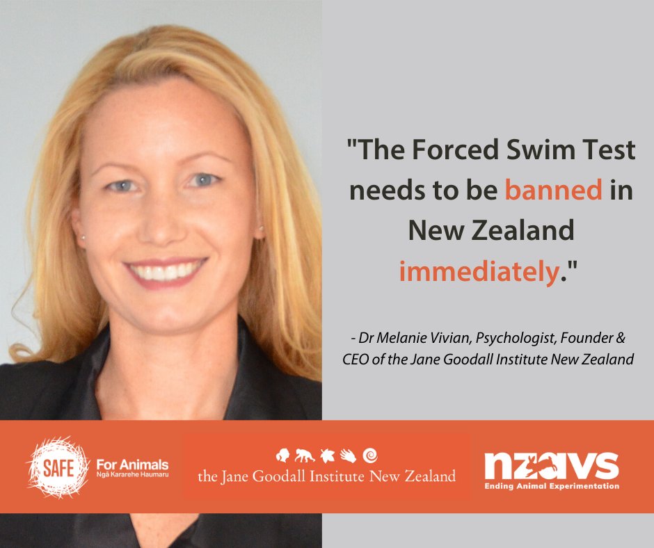 Founder &amp; CEO of <a href="/JGI_NZ/">Jane Goodall NZ</a>, Dr Melanie Vivian, has added her voice to @NZAntiViv &amp; <a href="/SAFEnewzealand/">SAFE</a>'s campaign against the Forced Swim Test! 
Speaking for those who can not speak for themselves. 
See her full quote: facebook.com/Jane.Goodall.I…