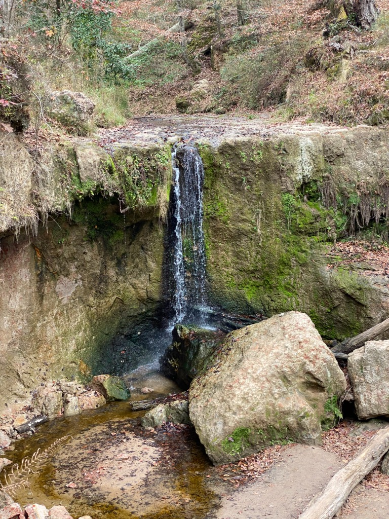 "Have you read the viral post about waterfalls within a 2-hour drive of New Orleans?" 🧗‍♂️ 🗺️  #Waterfall wfy.ai/2YQKt9S  #Nature  #Stream  #Travel  #NewOrleans #ClarksCreek