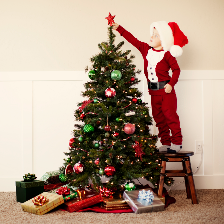 Which do you prefer—a real tree or a fake tree?