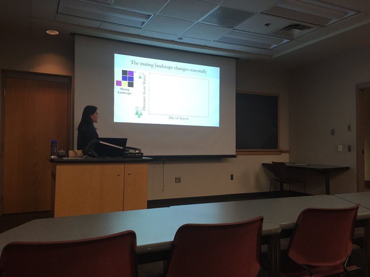 juliabonz's tweet image. Congrats to the incredible @amywaananen for passing her oral prelim exam today! A huge accomplishment and we are all excited to see what she finds as she builds a model of #pollen movement between fragmented landscapes, #echinacea fitness and #geneflow and reproductive success!