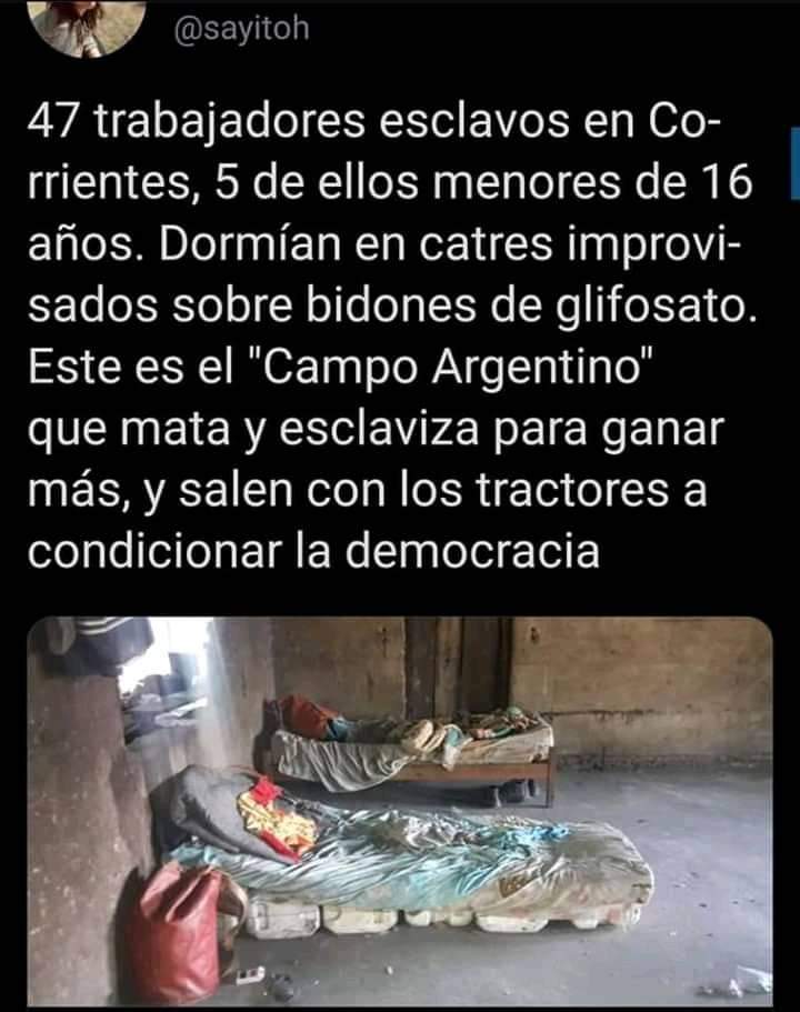 Melina2715's tweet photo. Esto es el campo, les importa un carájo la salud de la gente por unos dólares.Esto hacen los ricos con el glifosato, que tanto defendés. https://t.co/Wlpr4LrMxh
