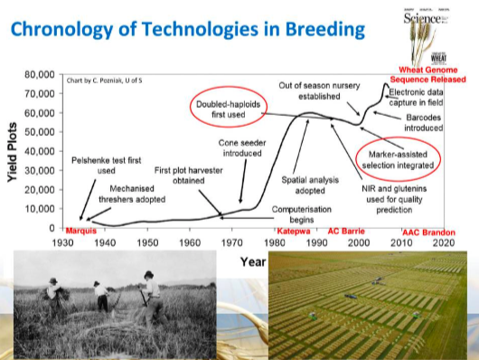 SeedWorldCAN's tweet photo. .@wheat_dr gives us a history of wheat breeding technologies. We have come a long way! #westcdnag #SeedRetail @SeCan https://t.co/7qHdgneRu2