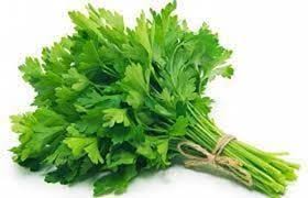 RasamRestaurant's tweet photo. #Chefstip how to keep coriander fresh. Keep coriander leaves in an airtight container with a paper napkin inside.  This will keep them fresh in the fridge for up to a month
#coriander #herbs #fresh https://t.co/nJG1ESqUUj