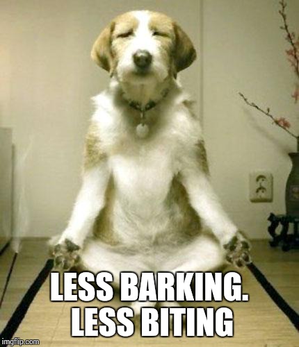 newordinance's tweet photo. If a dog can do it...
#peace #love #innerstillness #lovefordogs #doglove #mansbestfriend #newordinance #graydevio #progressive #progressivehouse #house #housemusic #trance #edm #electronicdancemusic #club #dance #devotedtomusic #focused #lifeismusic #loveformusic #music #musician https://t.co/mXcPKMwlvC