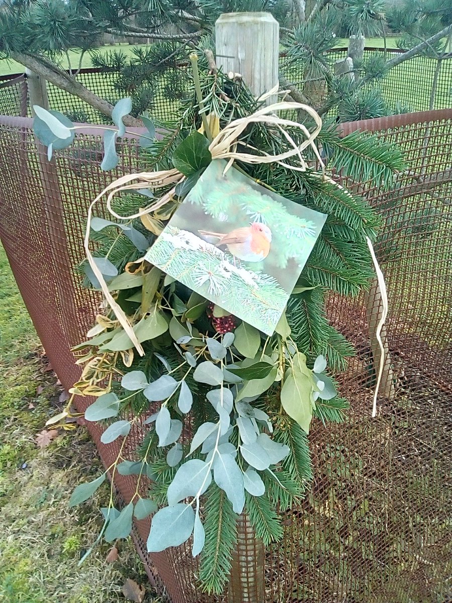 parry_jacky's tweet photo. A tribute in memory of loved ones who have died by suicide at the memorial tree Swindon crematorium 💜 https://t.co/RbT2Rq5lpz
