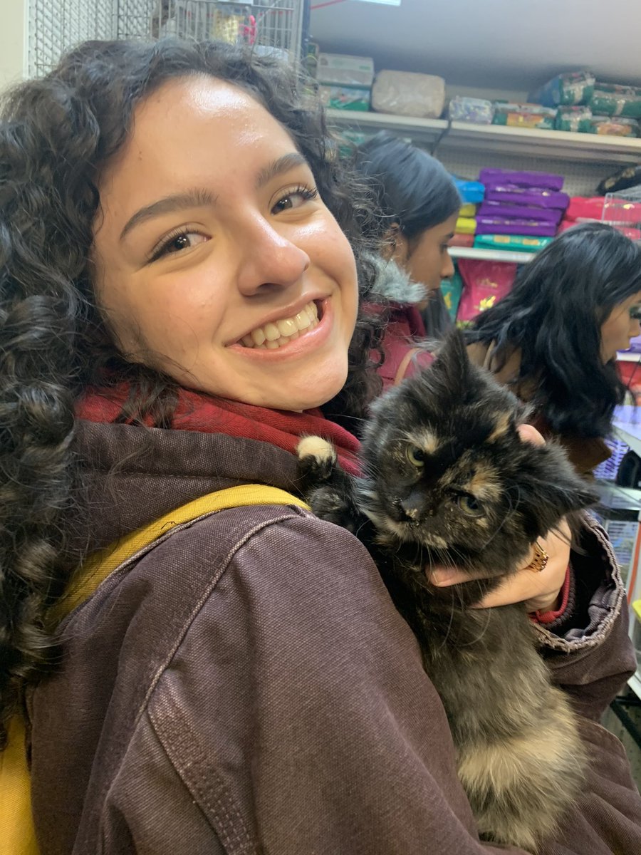 CodingExchange's tweet image. Best team bonding activity: Playing with dogos and cats 🐶 🐱