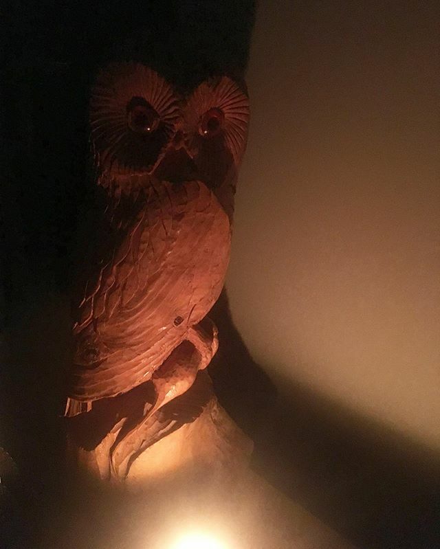 Owl. #owlsome ift.tt/2rVgYHI
