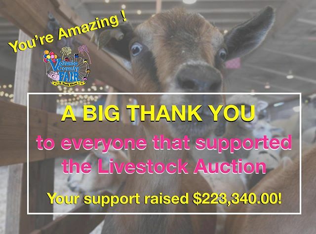 Volusia County Fair tweet media