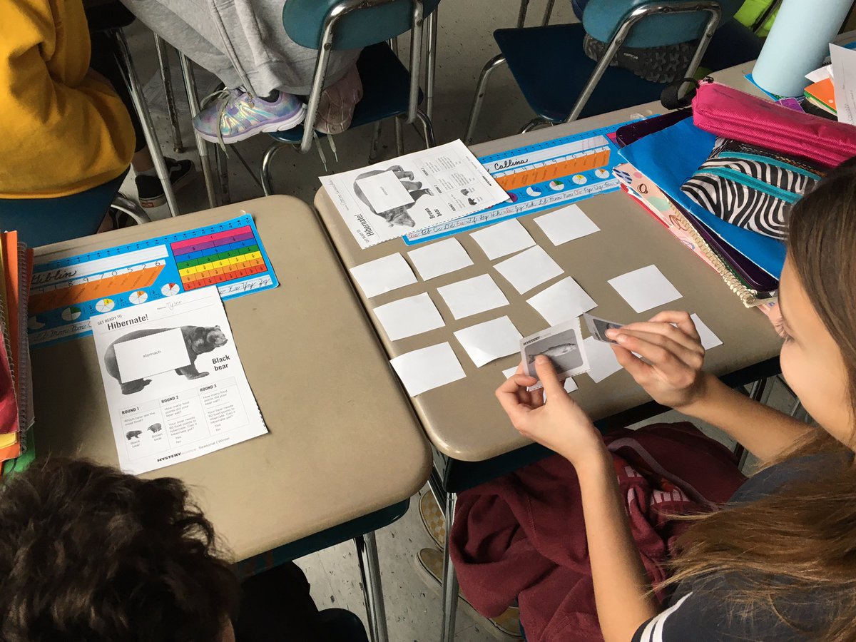HAYSchoolNorton's tweet photo. A @MysterySci Memory game to help their bears hibernate for the winter in Mrs. Almeida’s 5th Grade Science class. #GoodStufff @MaryAnnAlmeida4 #HAYNation https://t.co/BxPITE0Lgc