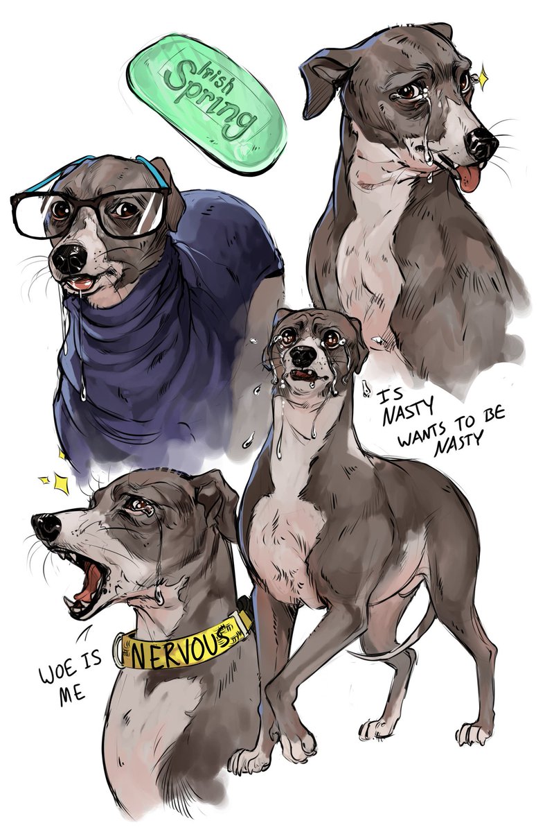 Prickly_Alpaca's tweet photo. @Jenna_Marbles @juliensolomita 
Occasionally you gotta do it to em and draw the whole pack 👌
#JennaMarbles #JulienSolomita 

~Follow me on Tumblr @ PricklyAlpaca https://t.co/Tzylhfn1YC