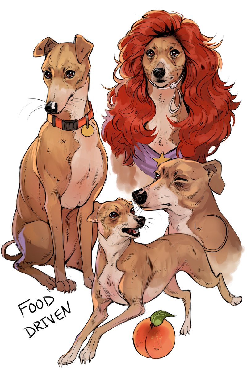 Prickly_Alpaca's tweet photo. @Jenna_Marbles @juliensolomita 
Occasionally you gotta do it to em and draw the whole pack 👌
#JennaMarbles #JulienSolomita 

~Follow me on Tumblr @ PricklyAlpaca https://t.co/Tzylhfn1YC