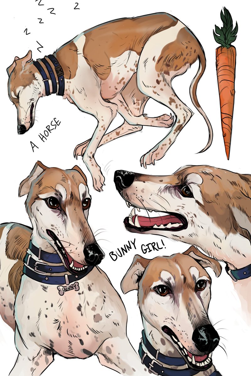 Prickly_Alpaca's tweet photo. @Jenna_Marbles @juliensolomita 
Occasionally you gotta do it to em and draw the whole pack 👌
#JennaMarbles #JulienSolomita 

~Follow me on Tumblr @ PricklyAlpaca https://t.co/Tzylhfn1YC