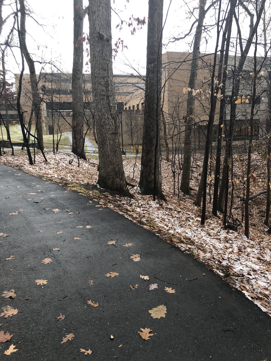 USU through the woods in the snow. #usuhs #AmericasMedicalSchool