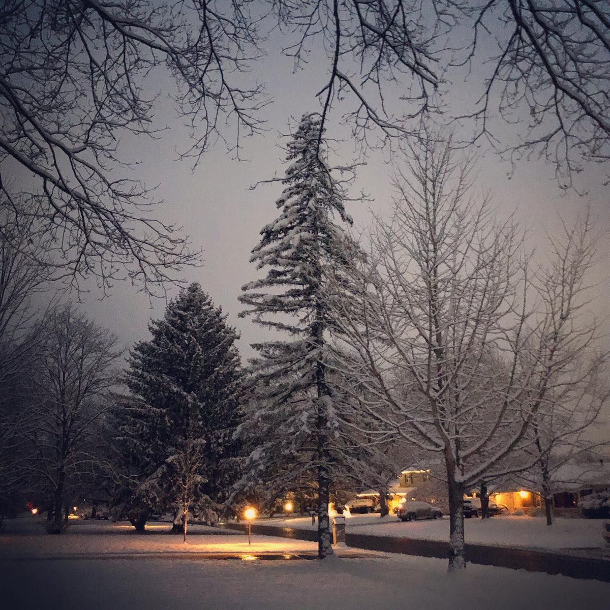 We woke up to a Winter Wonderland!