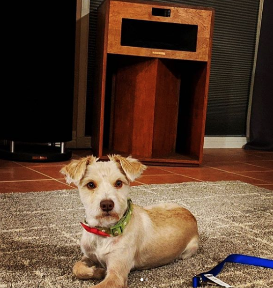 KlipschAudio's tweet photo. Congrats to today's winner @jazTUNING. Submit your setup by tagging @klipschaudio #mondayshowcase. Winner will receive T5m headphones and a copy of the 5.1 surround sound album "The Savior" by @abadthink 🤘 https://t.co/0PJfImlOgb