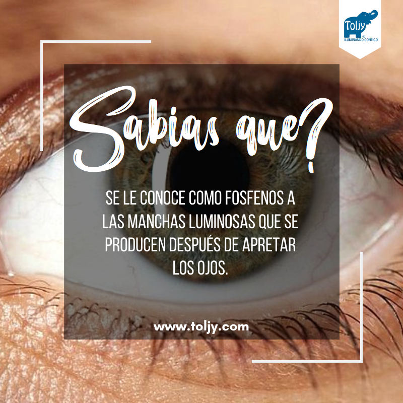 Toljy's tweet photo. Sabias que...
Se le conoce como #fosfenos a las luces de colores que se producen después de apretar los ojos
Visitanos https://t.co/PTf9k2LWMv
#Iluminación #Energía #Arquitectura #Led #Urbano #Mobiliario #Seguridad #SabiasQue #Construcción #Industria #Vivienda #ingeniería https://t.co/gpA08dSyF4