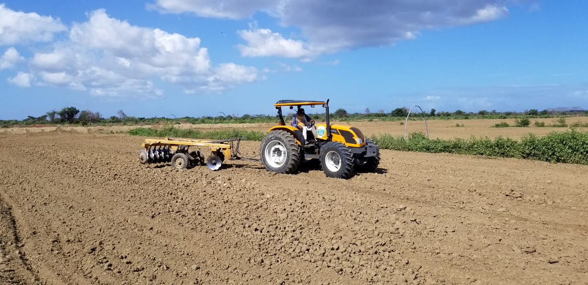 PLCM_RD's tweet photo. El #PLCM continúa siembras y preparaciones de terrenos,  para cumplir la meta de 8,000 tareas de plátano. Peticiones del  Ministro .@OsmarCBenitez
 de @AgriculturaRD
 
#PLCMAutosuficiente https://t.co/grlN43UBvk