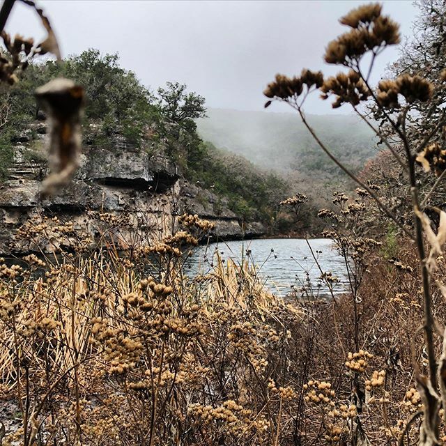 texiantea's tweet photo. My favorite sort of day at @lostmaples - cold, gloomy, and not a soul in sight. https://t.co/UBOHzTRYDO https://t.co/n5ReLIRPGO