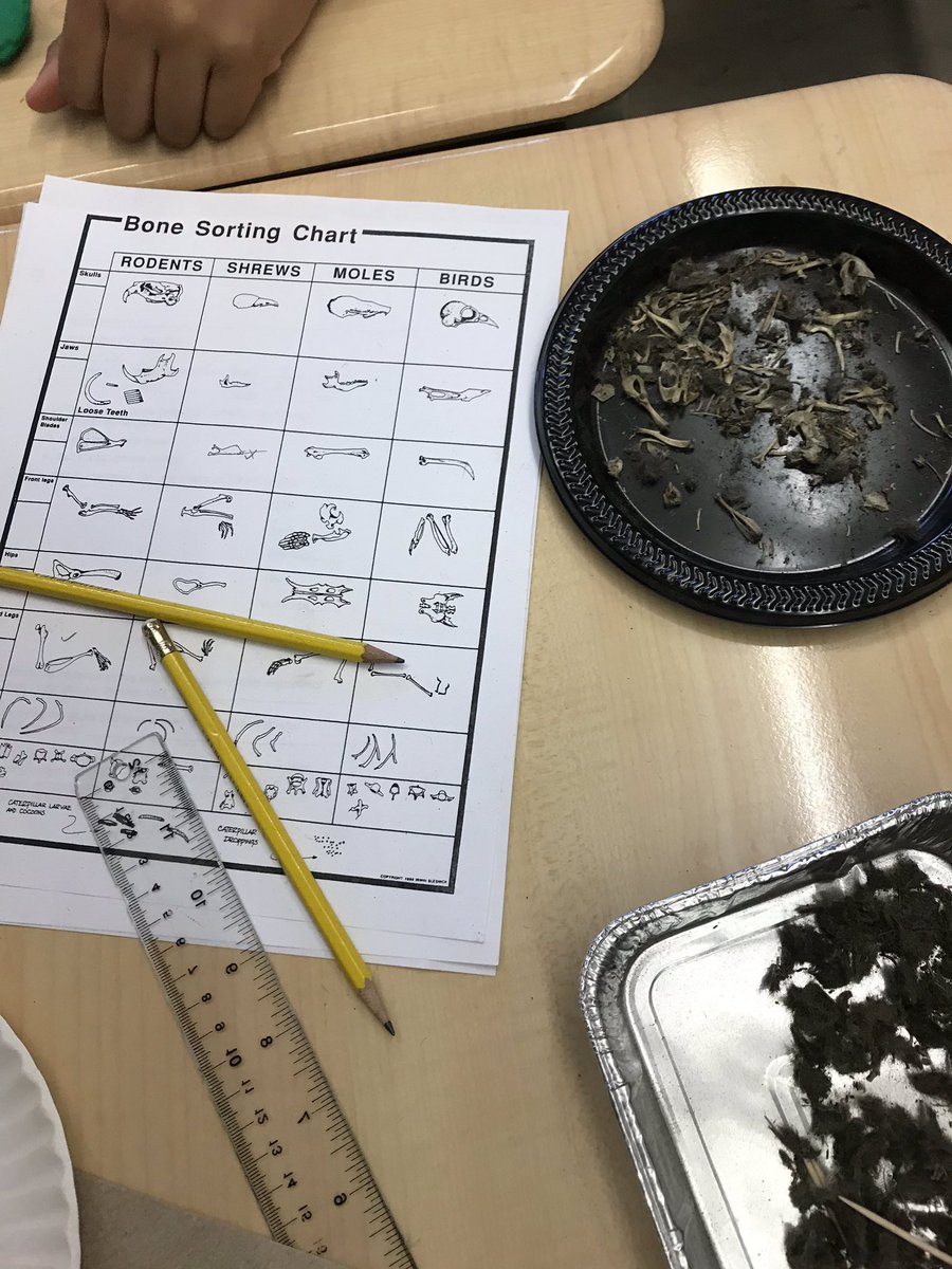 tumpanepublicschool tweet media