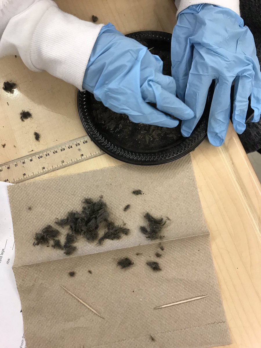 tumpanepublicschool tweet media