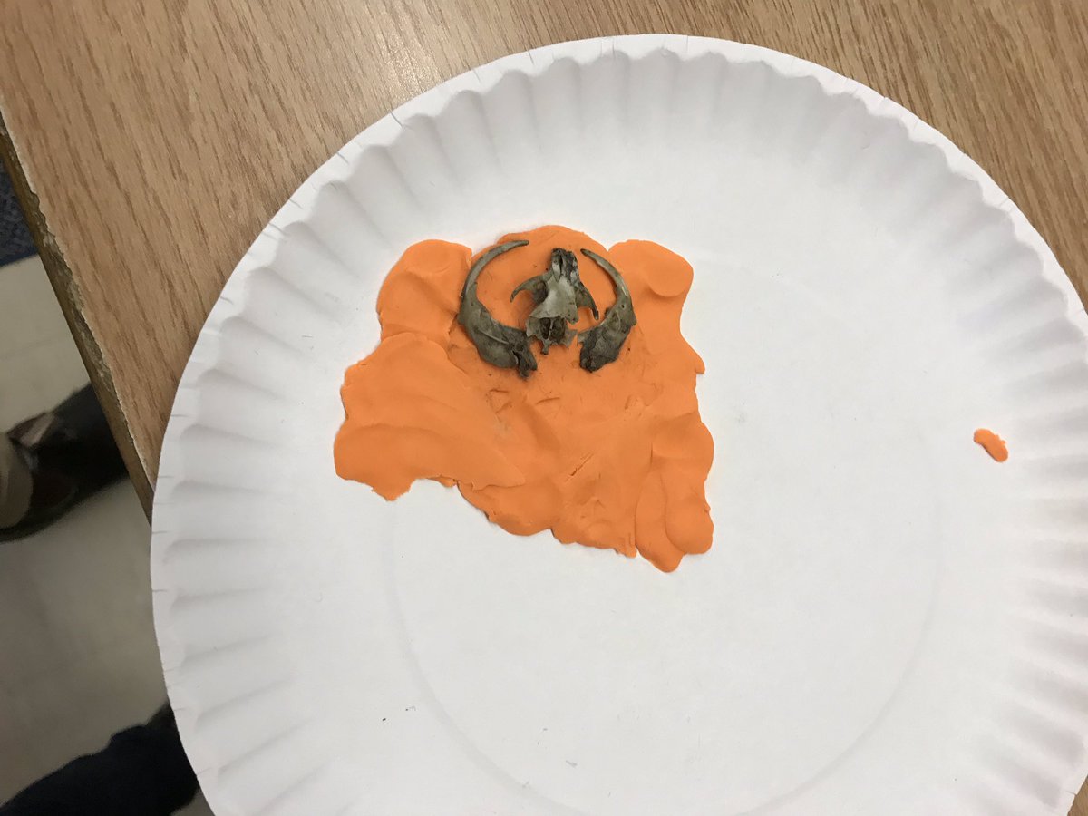 tumpanepublicschool tweet media