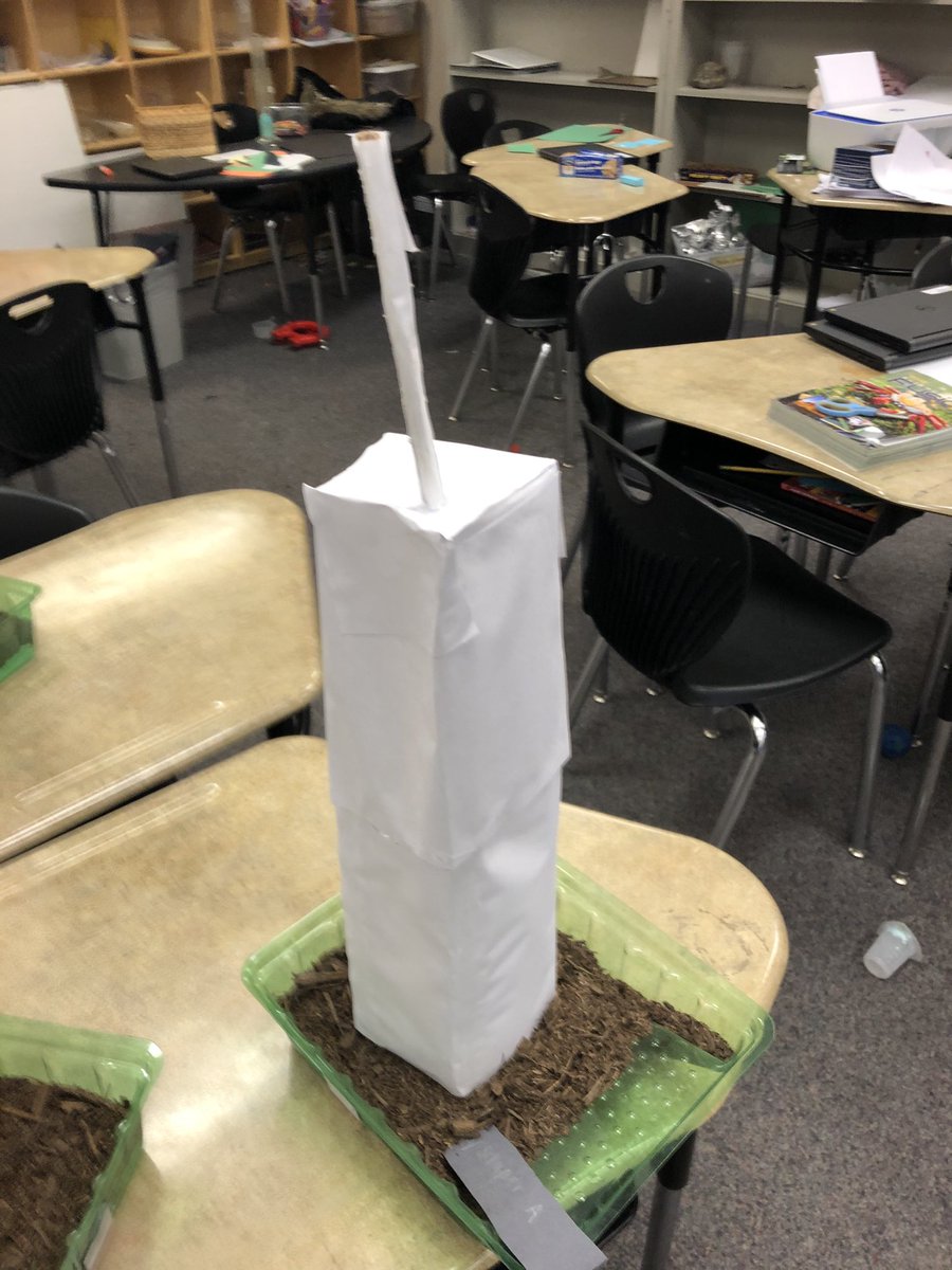 RobPrice2017's tweet photo. Student project: Most structurally sound design for a skyscraper. Working with advanced kids can be stressful, but the payoff is worth it. #STEM #STEMeducation #STEM #AVID #science #sciencetwitter https://t.co/dXHBj6hbsX