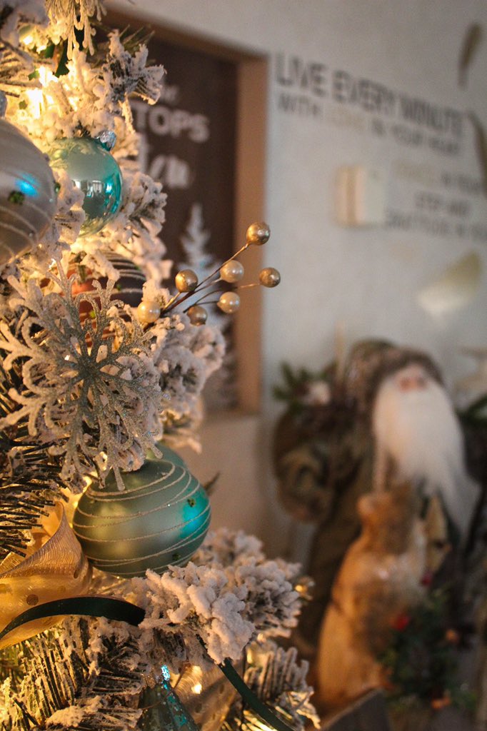 Makennactp's tweet photo. It’s the most wonderful time of the year 🎄 https://t.co/AekNqcXPJ9