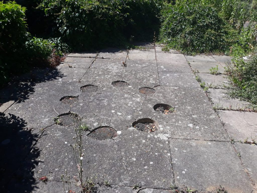 Great to walk round Bretton today with PECT looking into developing some of the 'Ghost Playgrounds' in Bretton to support wild flowers and flower beds. #greenerbretton #teambretton