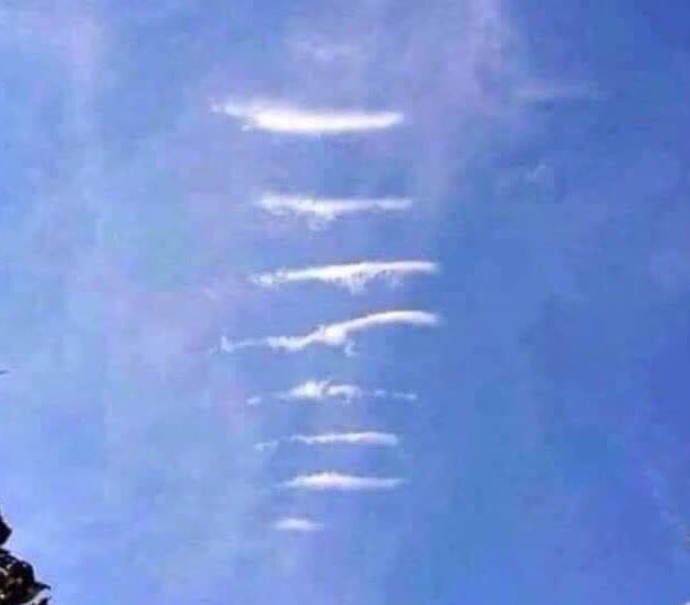 Everton Designs tweet media