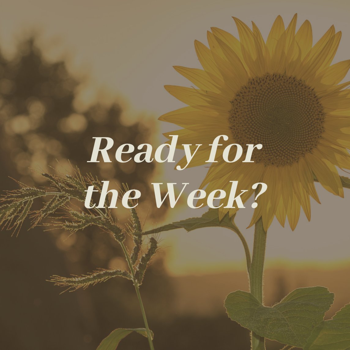 ConsilioTeam's tweet photo. Happy Monday! The holidays are upon us and the end of the year is right around the corner! What did you do today to prepare you for these upcoming events?
#2020Vision #Endofthedecade #2019Holidays https://t.co/fTyB34d1Aa
