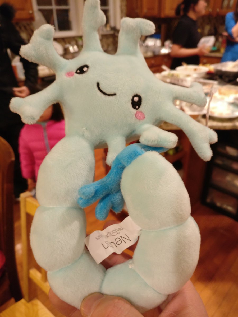 Qiu lab holiday tradition: great food, ping-pong game, and funny white elephant gift exchange. So grateful to have such a talented group!