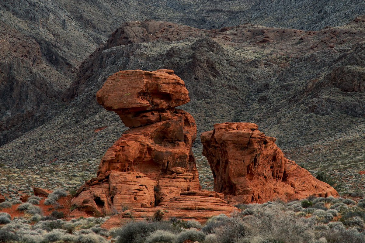 Eclipse Beverage tweet media