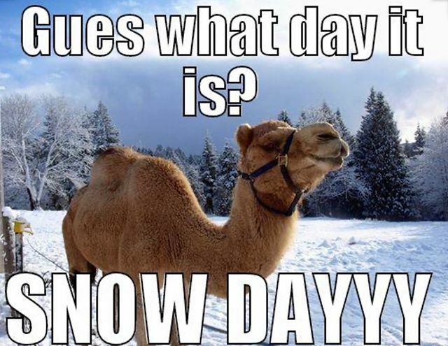 ImagineThat_KC's tweet image. Yep, Tuesday is another snow day for Imagine That. Is it a Netflix day or Disney + kind of day? ift.tt/2Elc7m1