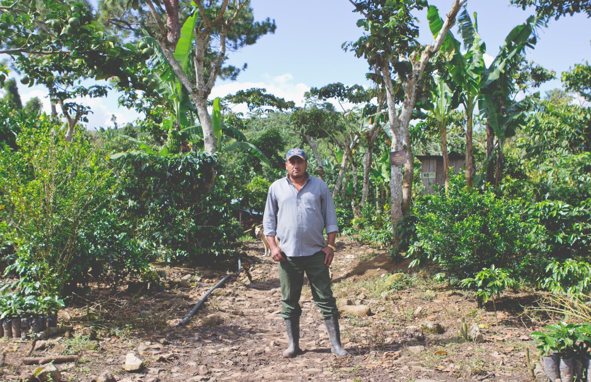 Project Alianza tweet media