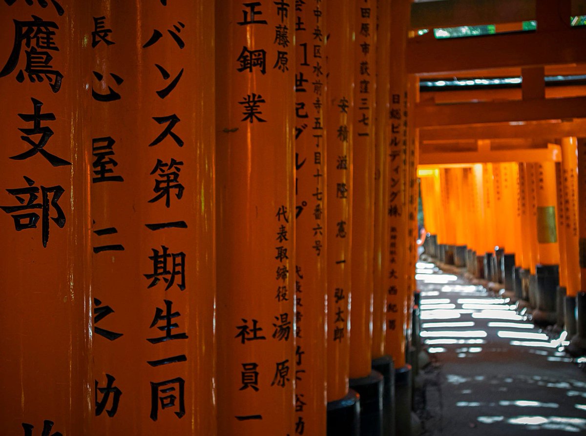 JaponEamigos's tweet photo. Terminamos el día paseando entre los torii del Fushimi Inari Taisha ^^

📸 LosMerengues  
🌏 https://t.co/JDQnFzOTWV https://t.co/YOE7sjqFOm