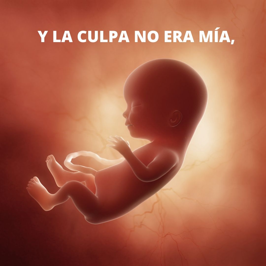 MarcosVeraPrez1's tweet photo. Y la culpa no era mia... https://t.co/G9lVFWqwRz