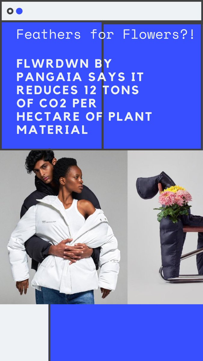 GreeningForward's tweet photo. #Pangaia ‘s #FLWRDWN Coats have flowers instead of feathers?! https://t.co/NpmGrzzwah