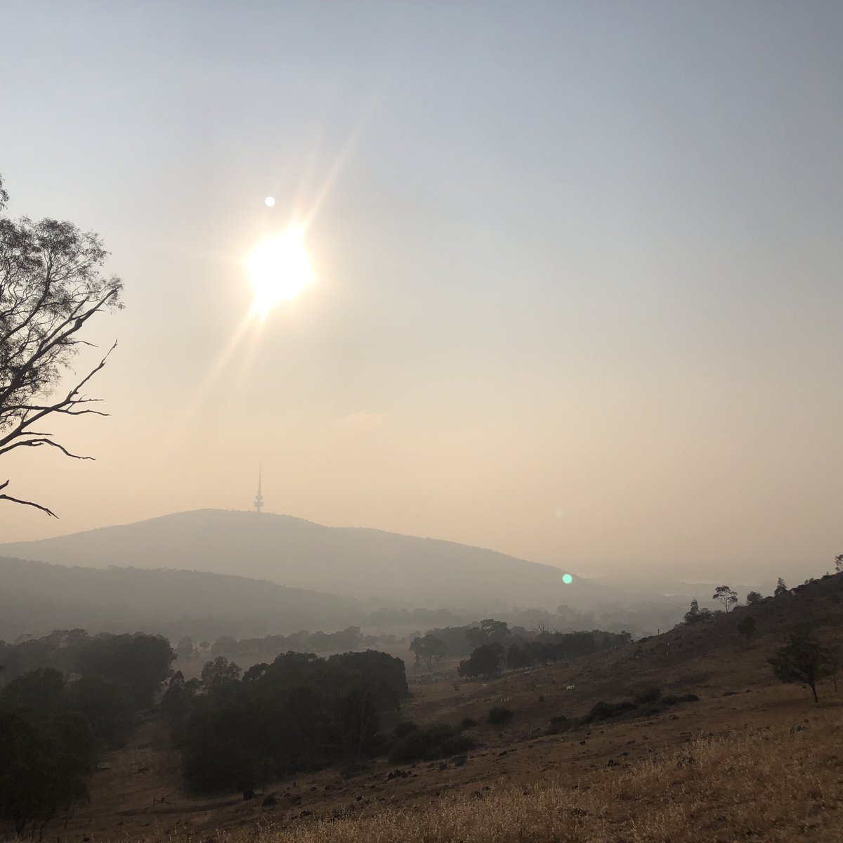After two weeks in Tasmania it’s hard to adjust to the smell of smoke in Canberra. Downgraded my run to a walk this morning after reading the great leadership piece by <a href="/DrDavid_Hughes/">Dr David Hughes AM</a> @sportaustralia on exercise and air quality ais.gov.au/position_state…