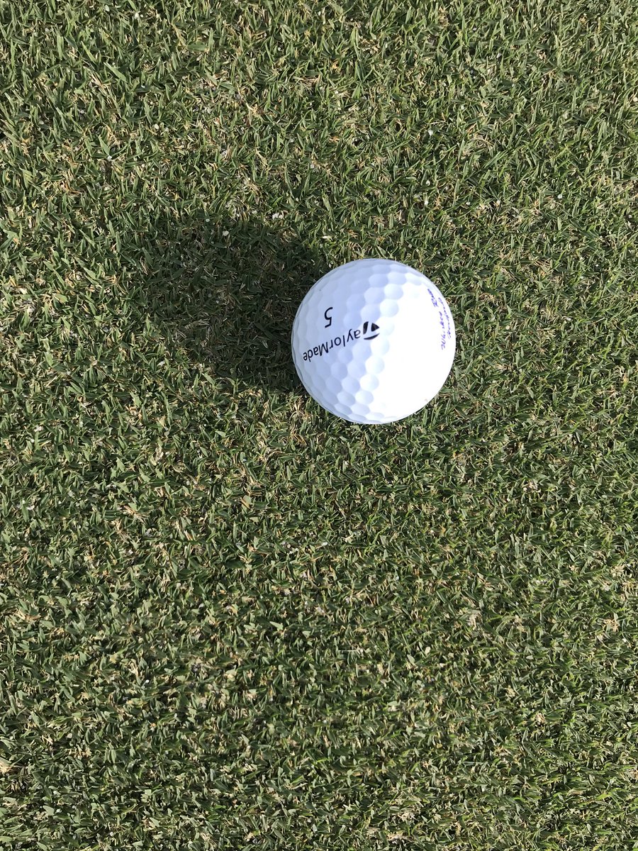 CaspioTurf's tweet photo. Course is shaping up nicely during the worst month for growing grass.  Hey @cgreatturf and @turfmonkeyboy how much more paspalum do I need to join the “passy” club?  At about 48% now!  #byecelebration #paspalumstrong #gcsaa #corkscrewed https://t.co/Lm3jp1XYZh