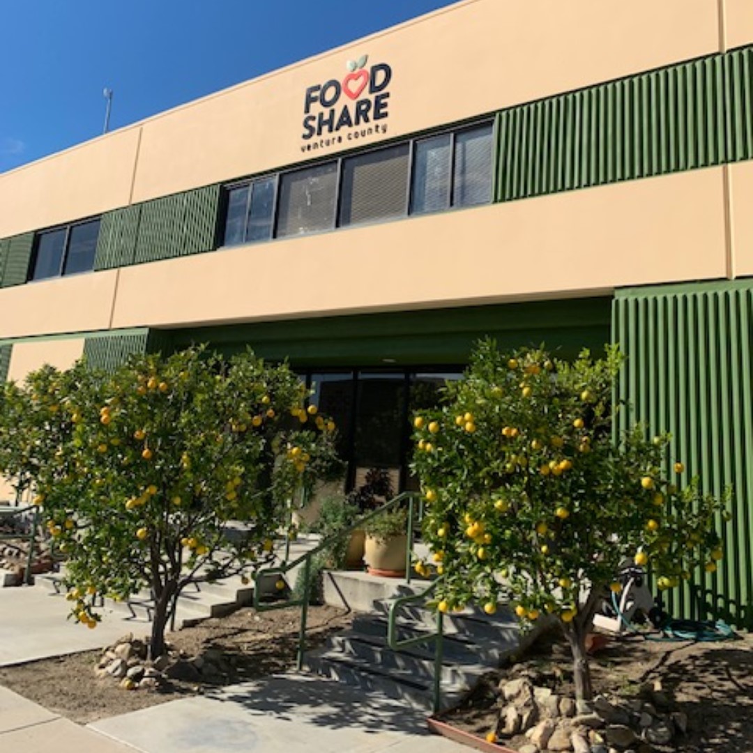 CoolPlanet's tweet image. Last week, our Cool Planet team took some time to volunteer with @FoodShareVC

Team Cool Planet donated Cool Terra &amp;amp; planted lettuce, searched cabbage for aphid impostors, and sifted compost material for the Food Share in the 1st of many visits!

#SoCal #Volunteering #Gardening