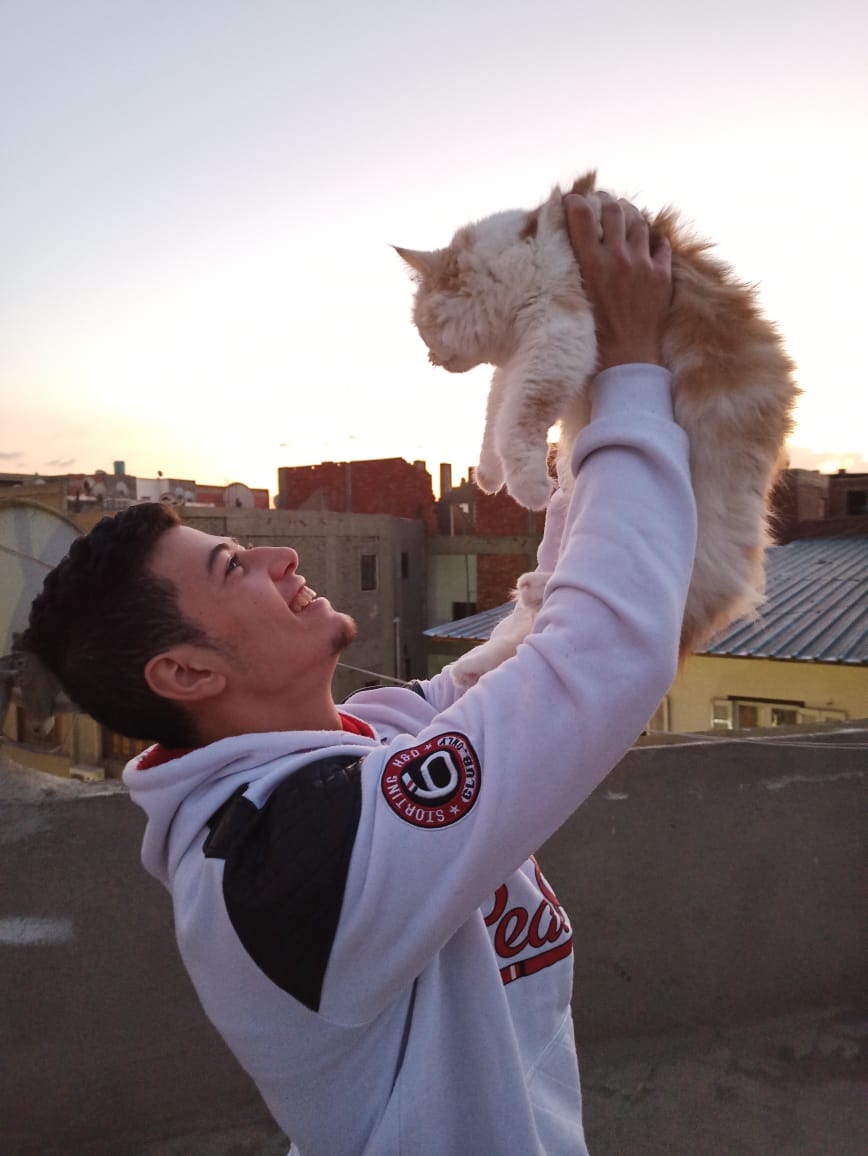 Mohamed Atef (@mohamed37535447) on Twitter photo 