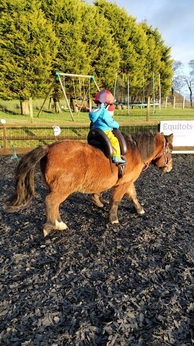 Equitotslanark's tweet photo. Chico was sporting his new Inky Dinky saddle today for the first time, thanks to Family Recovery Initiative Fund for supporting us in purchasing this piece of super equipment #confidence #trust #corestrength #developing https://t.co/GbkyniU29n