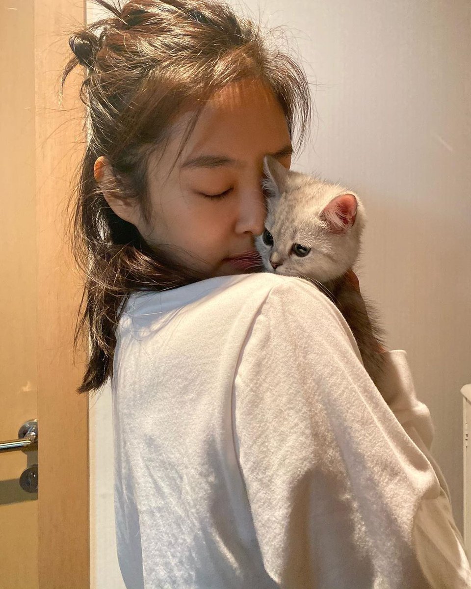 Gam_TheGang's tweet photo. อยากเป็นแมวของลลิษาค่ะ 🐱🐱🐱🐱
#LISA #LALISA #LISACATS #LEO #LUCA #LILY #LOUIS https://t.co/PpSLVEWyUa