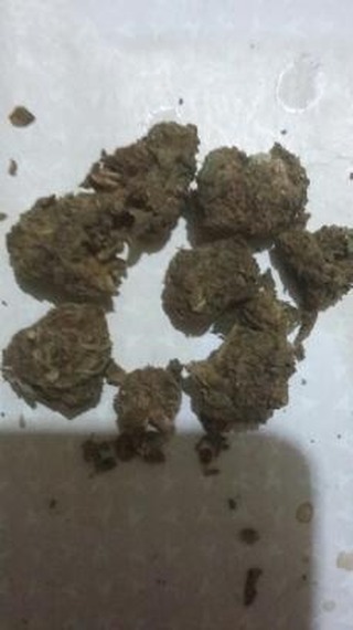 burakcam35's tweet photo. Blue dream haze .💯💯🍁🍁 #yasalaşartık #420 https://t.co/l8aHvFG1TH