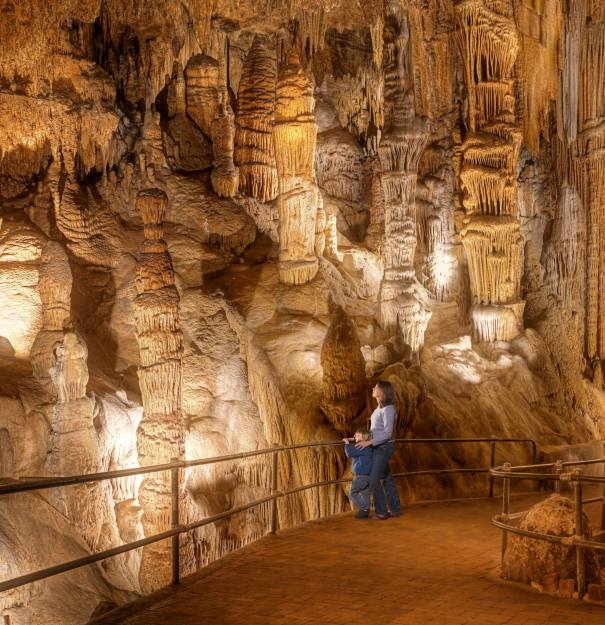 The down time between Christmas and the return to school could use some oomph, and fortunately, there is PLENTY to do in the #ShenandoahValley. Here's a jumping off point: redtri.com/dc/12-awesome-… #familyfun #holidays #winterbreak