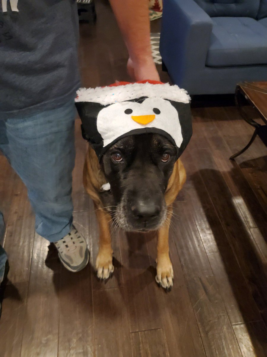 s_rving's tweet image. It’s that time of the year. #HoHoHo #Christmas2019 #Mykka