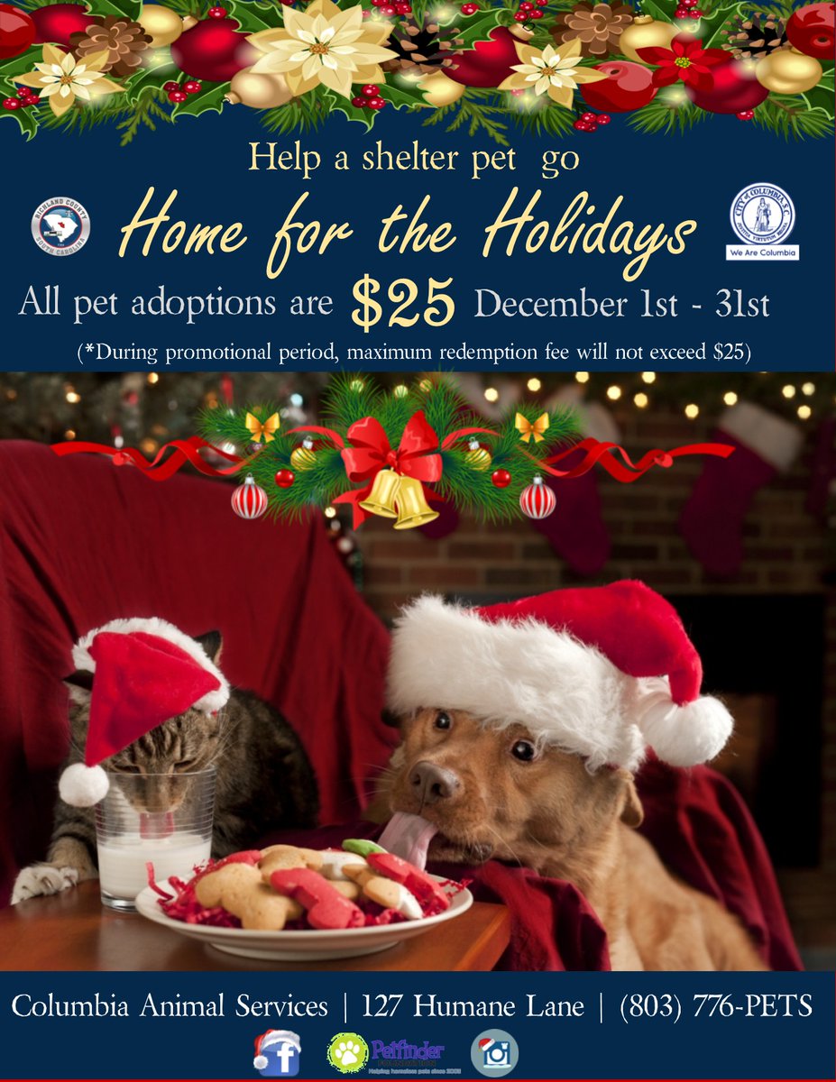 For just $25 you can take a furever friend #HomeForTheHolidays from Columbia Animal Services ! 🐶🐱.

All pet adoptions from Columbia Animal Services are $25 for the entire month of December!

For more info, visit bit.ly/356ArDQ #WeAreColumbia