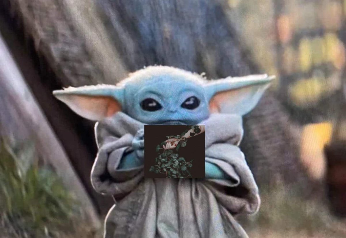 baby yoda says listen to Suffering In My Sleep