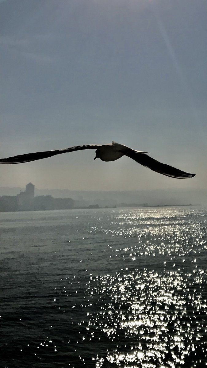 Musa Ağacık (@musaaack1) on Twitter photo 